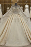 Champagne Ball Gown Tulle Sequins Beading Wedding Dresses With Long Train