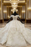 Champagne Ball Gown Tulle Sequins Off the Shoulder Appliques Beading Luxury Wedding Dresses