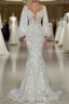 Elegant Long Mermaid V-neck Tulle Lace Wedding Dress with Sleeves