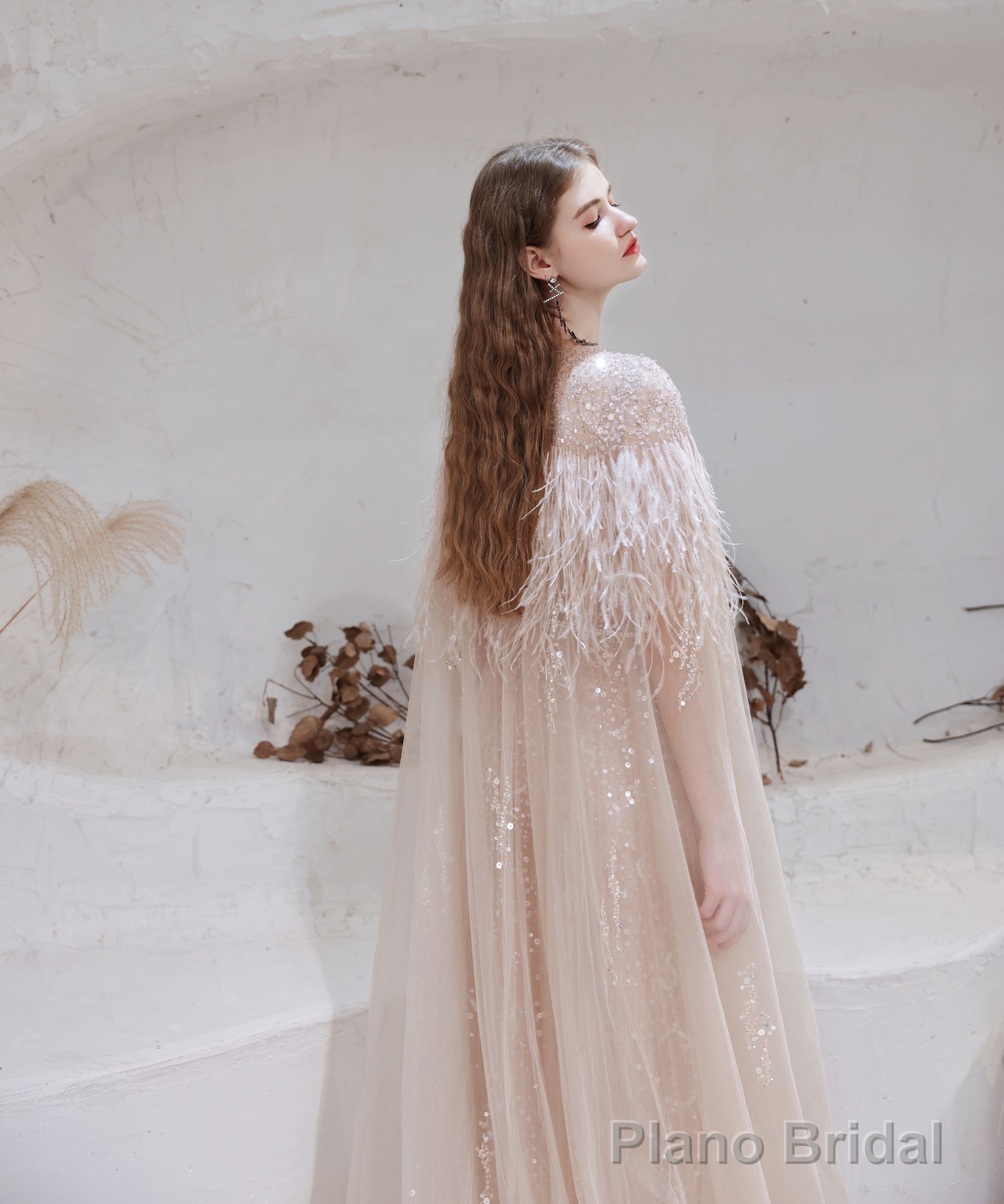 Luxury Champagne Evening Dress, Long Evening Party Prom Dresses, A Line Prom Gown