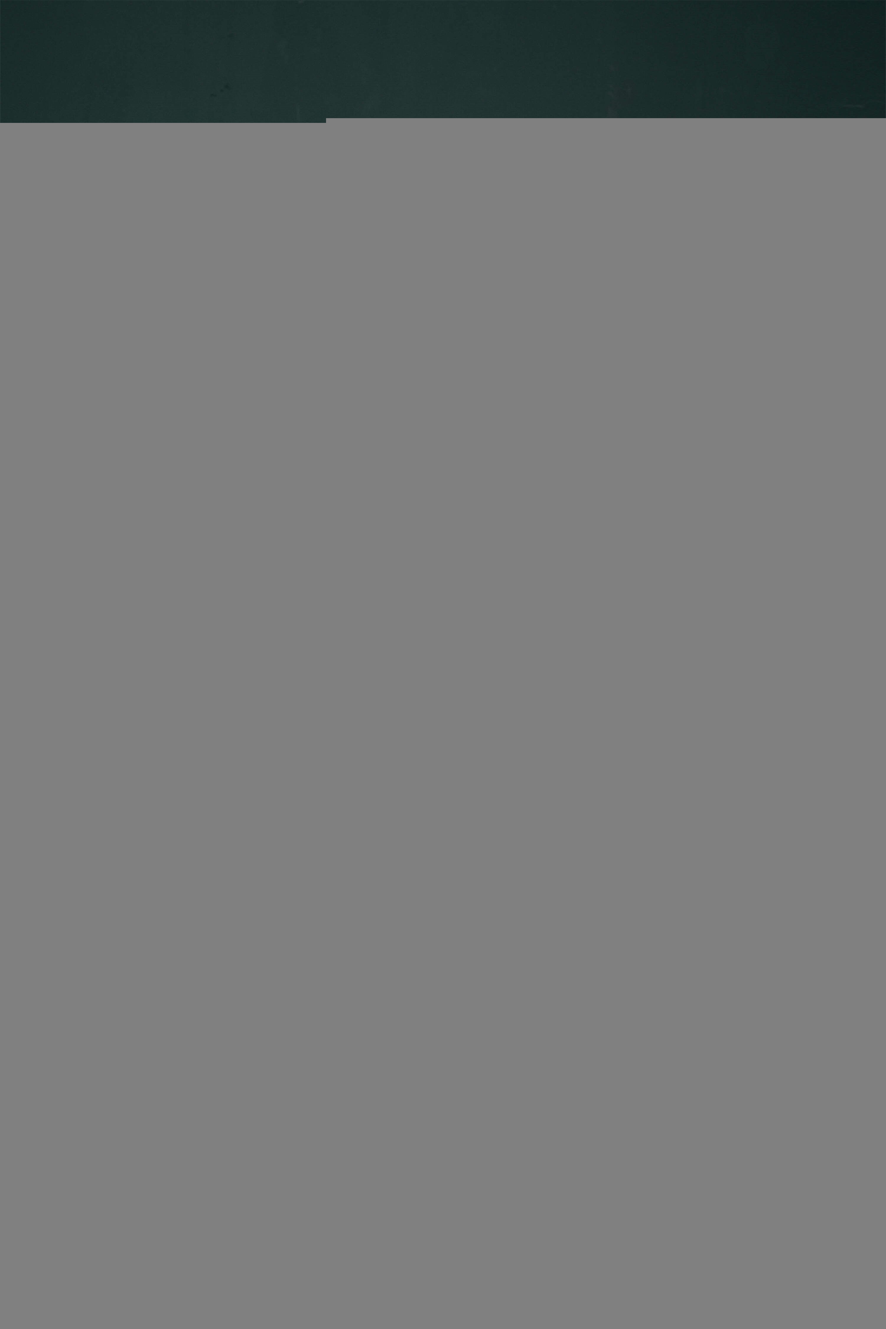 A-Line Crew Tea Length Chiffon Beaded Waist Mother of The Bride Dresses