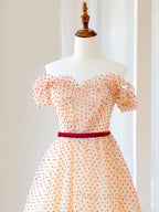 A-Line Off Shoulder Tulle Long Formal Prom Dresses, Champagne Formal Dresses