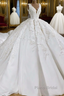 Ball Gown V-neck Wide Strap Short Train Tulle Applique Wedding Dress