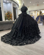 Black quinceanera Dresses Ball Gown Formal Prom Dresses Evening Gown