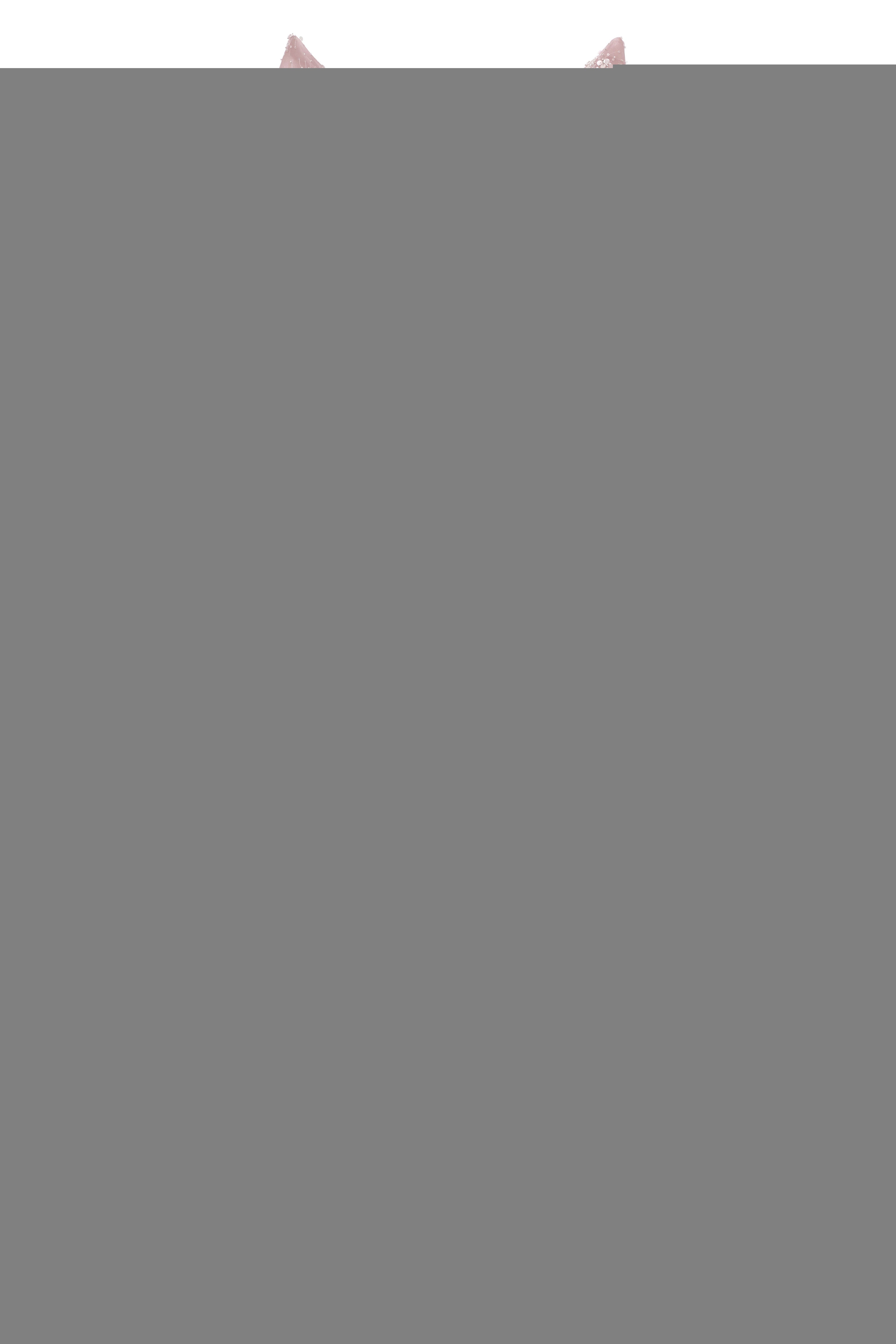 Blushing Pink Lace Crystal Sequin Long Prom Dresses Luxury Evening Gowns Vintage Party Dresses