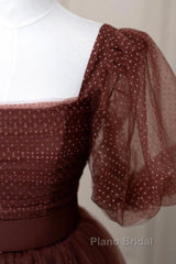 Brown Tulle Floor Length Formal Prom Dresses, A-Line Short Sleeve Evening Party Dresses