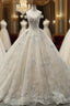 Champagne Ball Gown Tulle Appliques With Beading Off The Shoulder Wedding Dresses