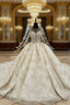 Champagne Ball Gown Tulle Sequins Long Sleeve Backless Appliques Wedding Dresses