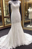 Classic Cap Sleeves White Illusion neck Lace Mermaid Wedding Dress with Court Train