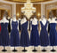 Short Navy Blue Chiffon Mismatch Maid Of Honor Girls Group In Knee Length Simple Cheap Formal Prom Dresses