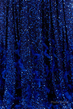 Sequins Long Sleeve Feather A-line Floor Length Prom Dresses