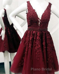 Short V-neck Tulle Formal Prom Homecoming Dresses Lace Embroidery