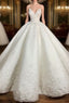 Spaghetti Straps Wedding Dresses Ball Gown Appliques