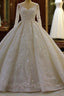 Sparkle 3D Lace Appliques Long Sleevess Church Train Wedding Dress