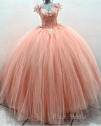 Tulle Ball Gown Dresses Lace Embroidery V Neck