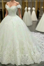 Vintage V-Neck Off The Shoulder Lace Wedding Ball Gown Dresses
