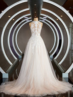 A-Line/Princess V-neck Court Train Tulle Wedding Dresses with Appliques Lace